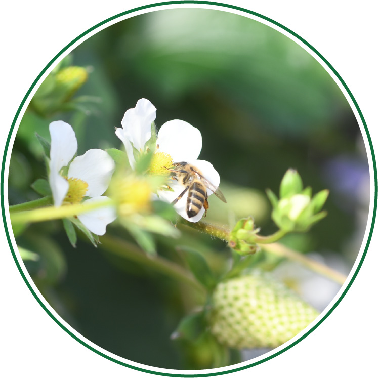 品質へのこだわり